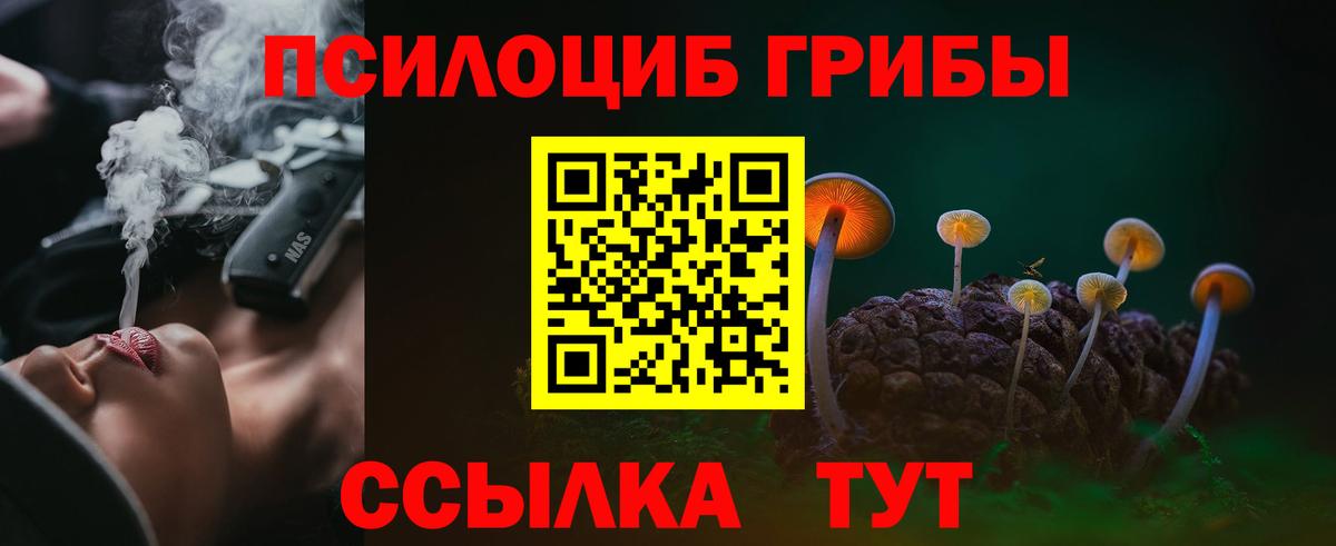 Галлюциногенные грибы Psilocybe Тара